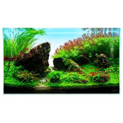 Aquarium Pflanzen Set Dein Aquarium Unsere Sets