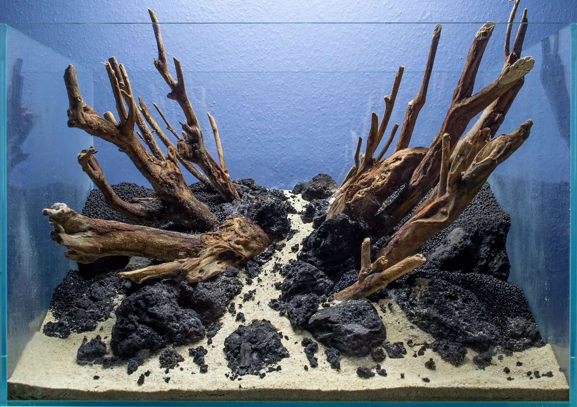 Hardscape 60cm Naturaquarium schwarze Lava und Talawa Wurzeln
