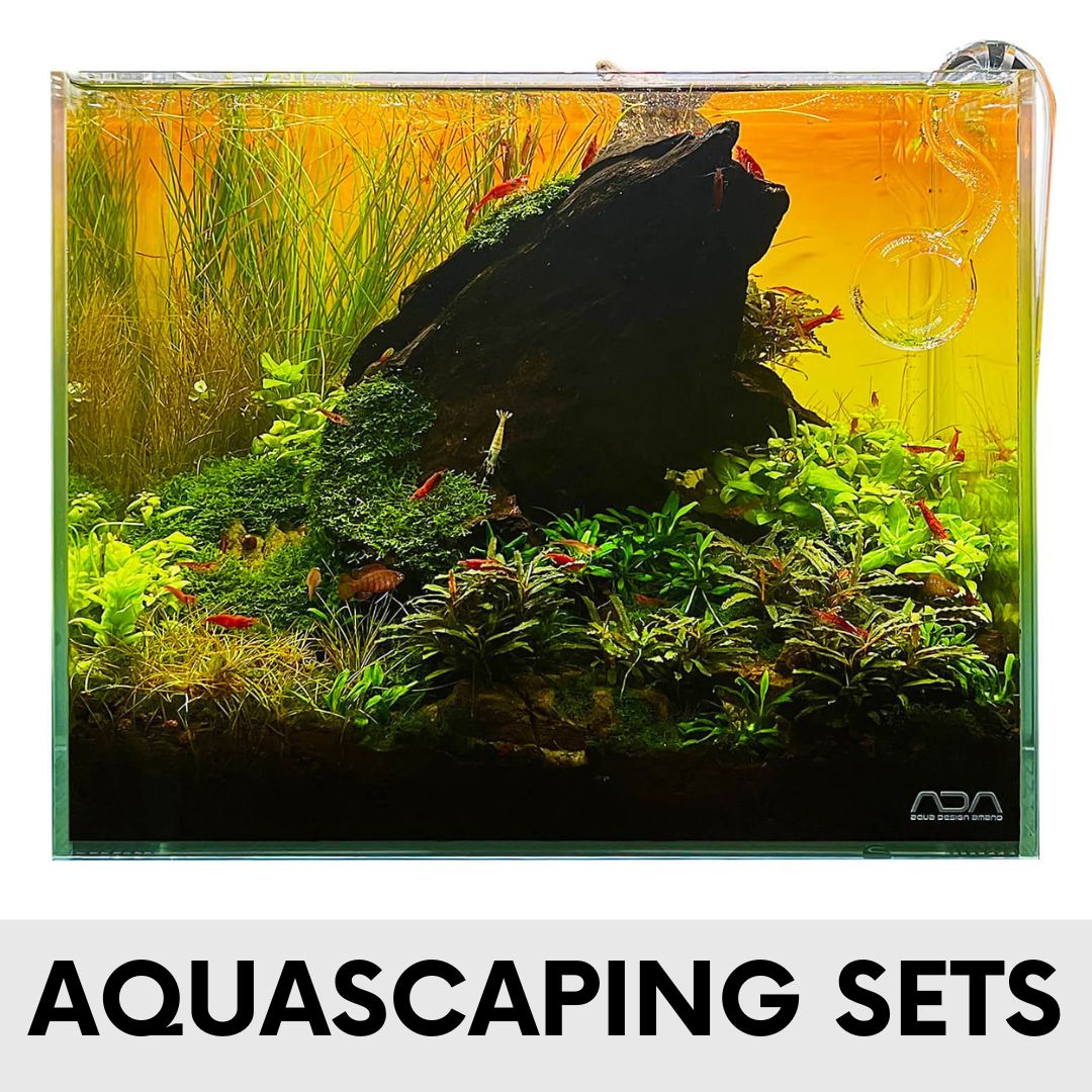 Aquascaping Sets und Aquascaping pflanzen kaufen