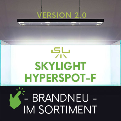 Skylight Hyperspot F | RGB LED