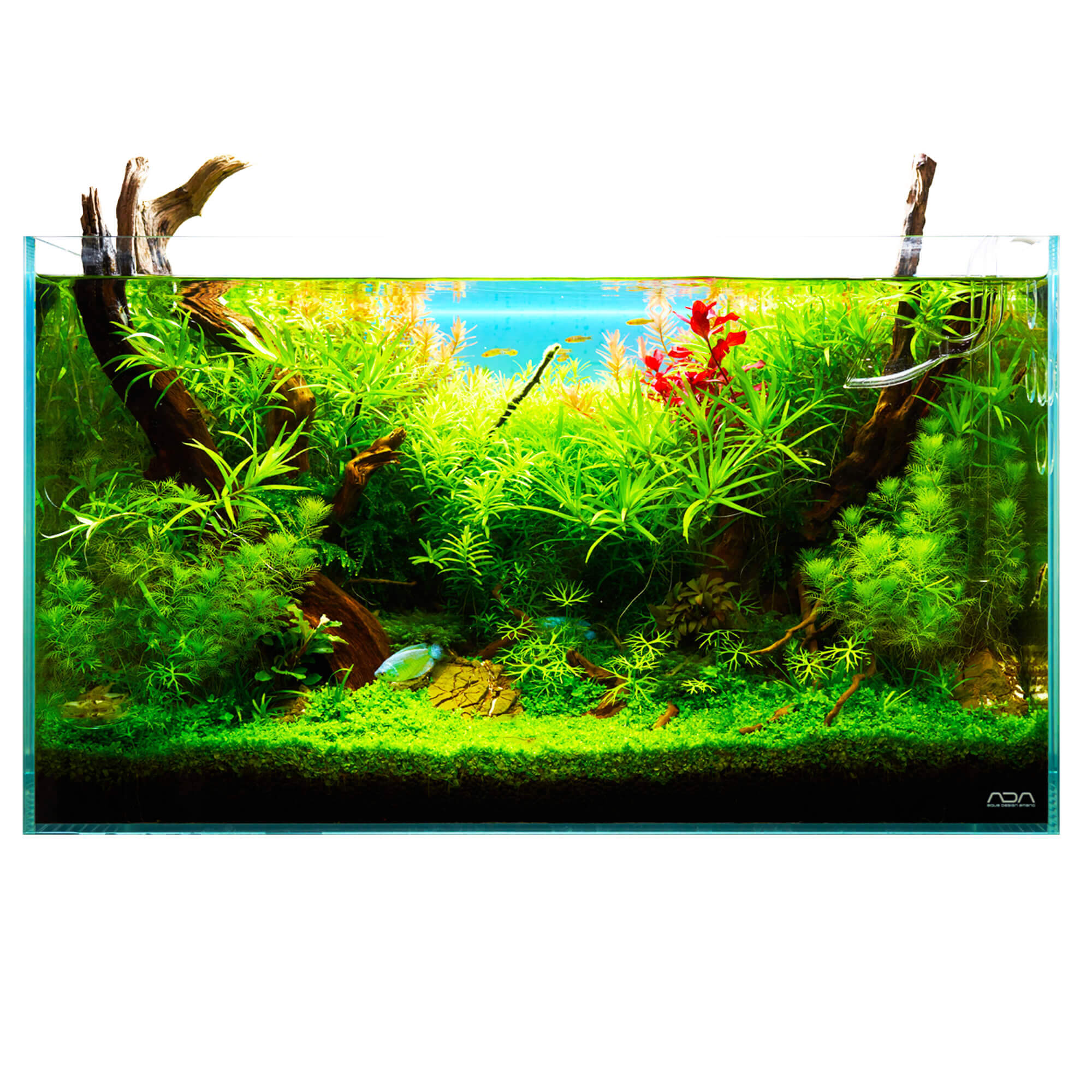 Aquarium high quality 60L mit Zubehör