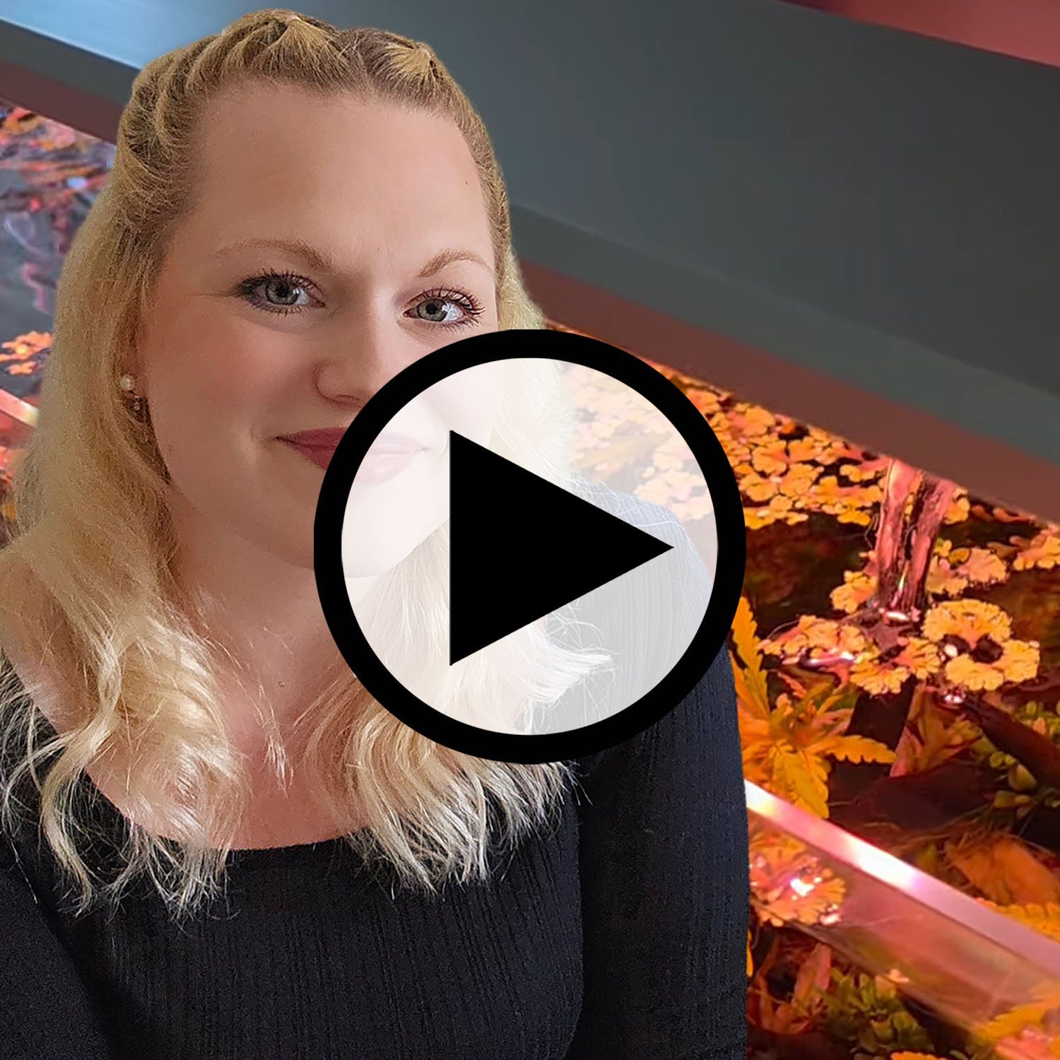 Vorschau: Video