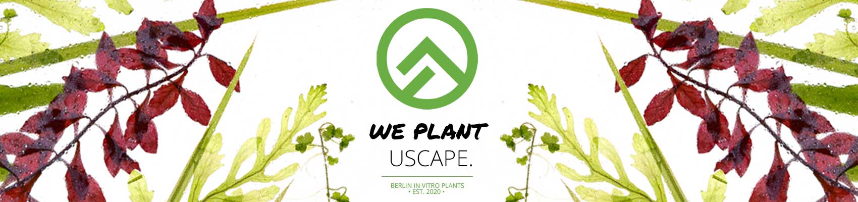 Aquarienpflanzen mit dem Logo von USCAPE plants