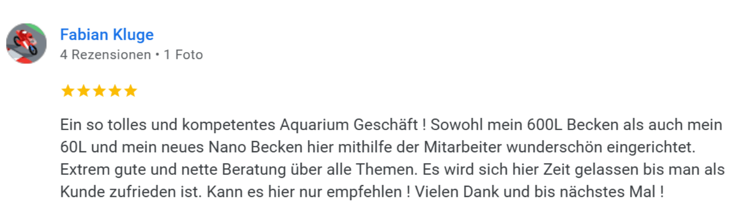 Garnelen Gummer Kundenerfahrung Rezension 4
